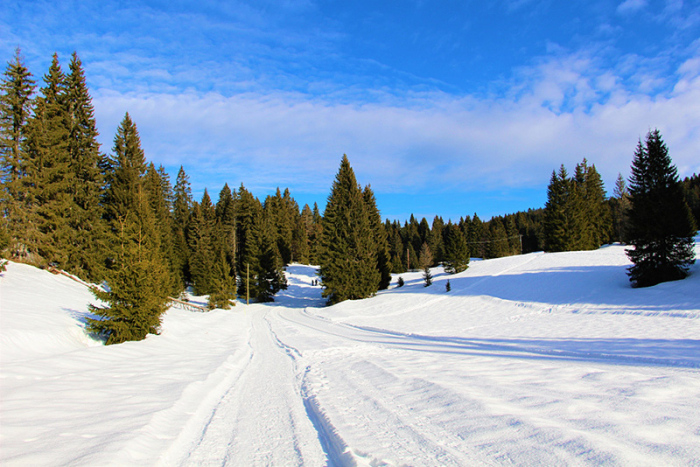 Location vacances Bellefontaine 